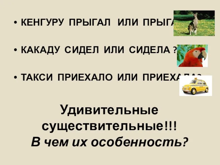 Удивительные существительные!!! В чем их особенность? КЕНГУРУ ПРЫГАЛ ИЛИ ПРЫГАЛА ? КАКАДУ