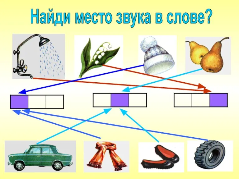 Найди место звука в слове?