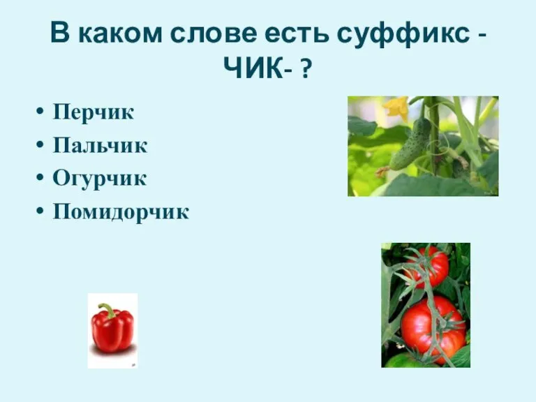 В каком слове есть суффикс -ЧИК- ? Перчик Пальчик Огурчик Помидорчик