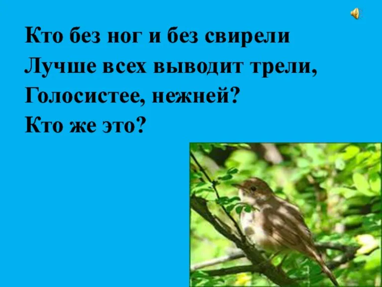 Кто без ног и без свирели Лучше всех выводит трели, Голосистее, нежней? Кто же это?