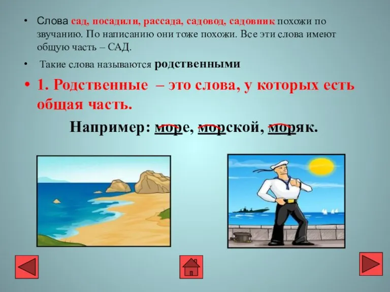 Слова сад, посадили, рассада, садовод, садовник похожи по звучанию. По написанию они