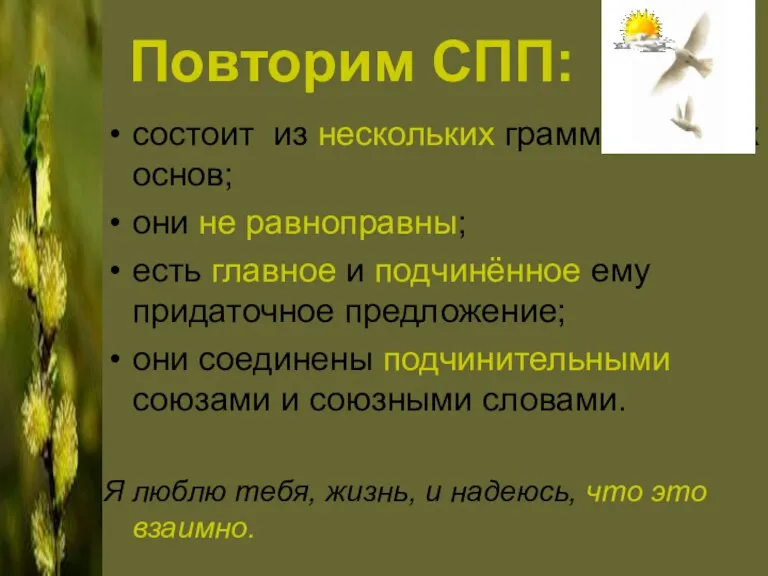 Повторим СПП: состоит из нескольких грамматических основ; они не равноправны; есть главное