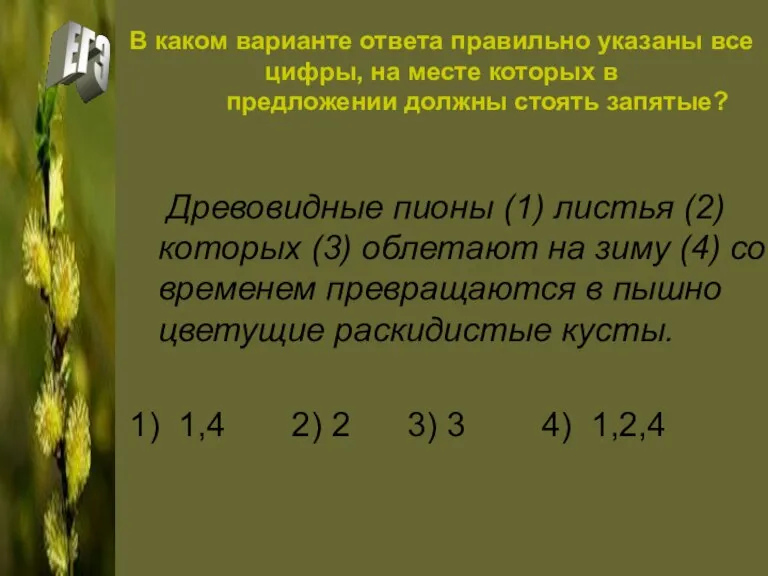 В каком варианте ответа правильно указаны все цифры, на месте которых в