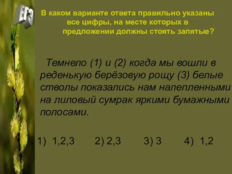 В каком варианте ответа правильно указаны все цифры, на месте которых в