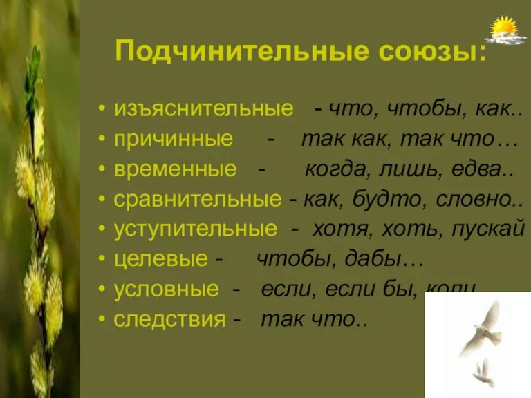 Подчинительные союзы: изъяснительные - что, чтобы, как.. причинные - так как, так