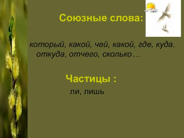 Союзные слова: который, какой, чей, какой, где, куда. откуда, отчего, сколько… Частицы : ли, лишь