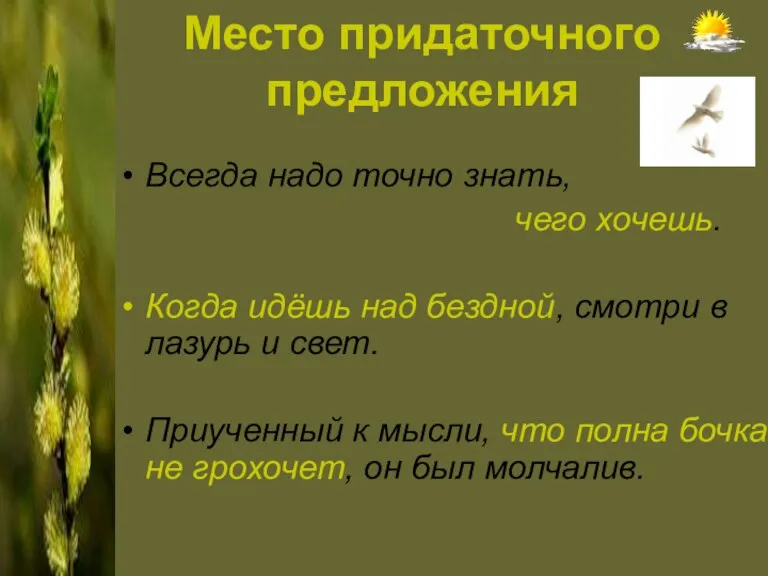 Место придаточного предложения Всегда надо точно знать, чего хочешь. Когда идёшь над