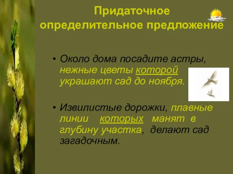 Придаточное определительное предложение Около дома посадите астры, нежные цветы которой украшают сад