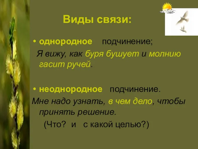 Виды связи: однородное подчинение; Я вижу, как буря бушует и молнию гасит