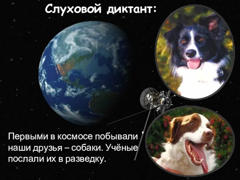 Слуховой диктант: Первыми в космосе побывали наши друзья – собаки. Учёные послали их в разведку.