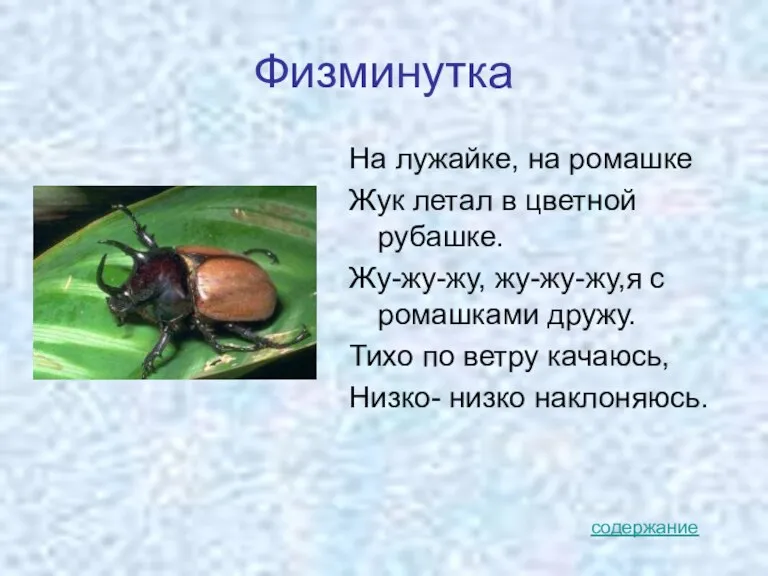 Физминутка На лужайке, на ромашке Жук летал в цветной рубашке. Жу-жу-жу, жу-жу-жу,я