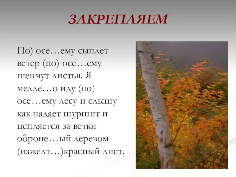 ЗАКРЕПЛЯЕМ По) осе…ему сыплет ветер (по) осе…ему шепчут листья. Я медле…о иду