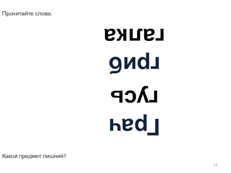 гусь Грач галка гриб Прочитайте слова. Какой предмет лишний?