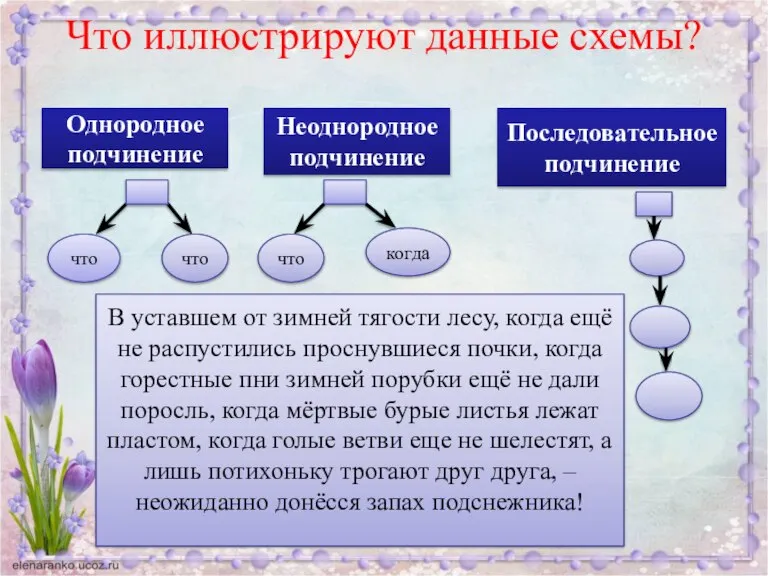 Что иллюстрируют данные схемы? Однородное подчинение что что Неоднородное подчинение что когда