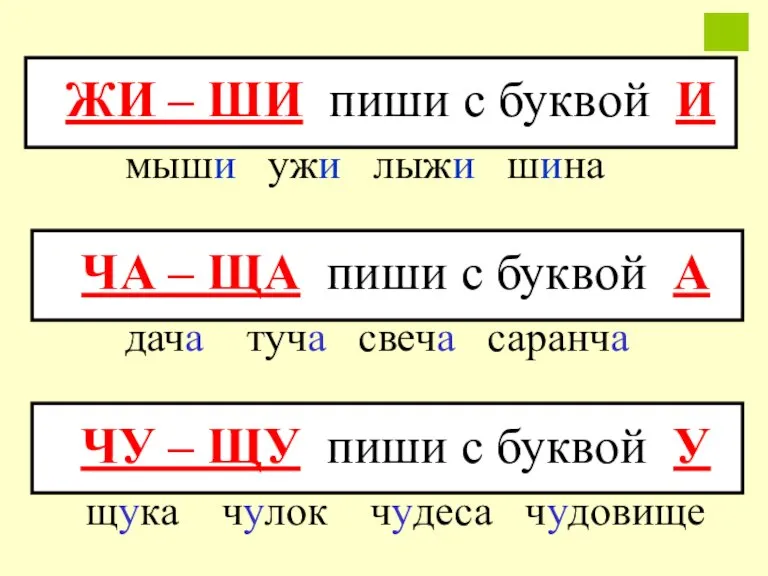 ЖИ – ШИ пиши с буквой И мыши ужи лыжи шина ЧА