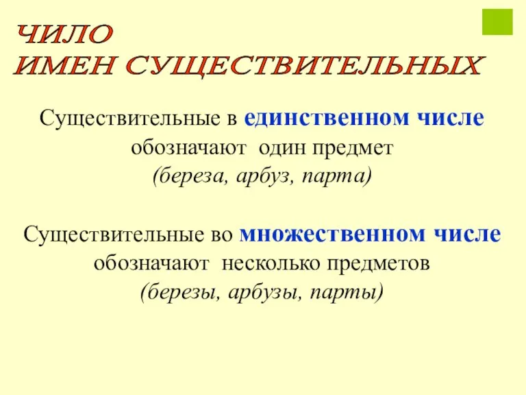 Существительные в единственном числе обозначают один предмет (береза, арбуз, парта) Существительные во