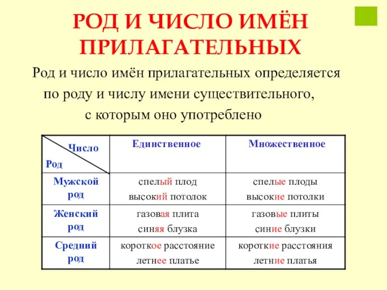 РОД И ЧИСЛО ИМЁН ПРИЛАГАТЕЛЬНЫХ Род и число имён прилагательных определяется по