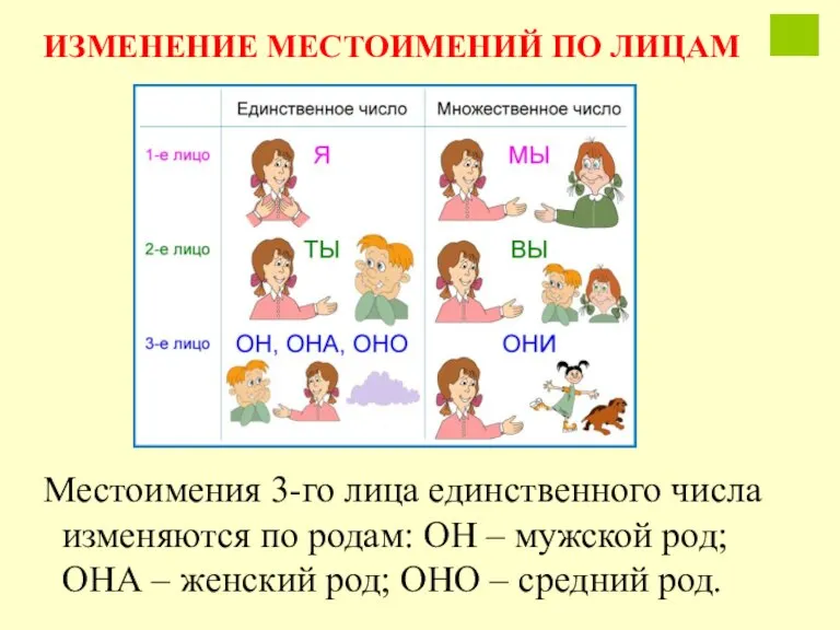 Местоимения 3-го лица единственного числа изменяются по родам: ОН – мужской род;