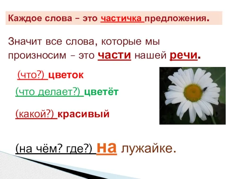 Каждое слова – это частичка предложения. Значит все слова, которые мы произносим