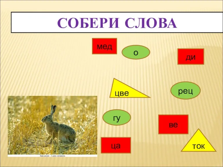 СОБЕРИ СЛОВА ди ве ца мед о гу рец цве ток