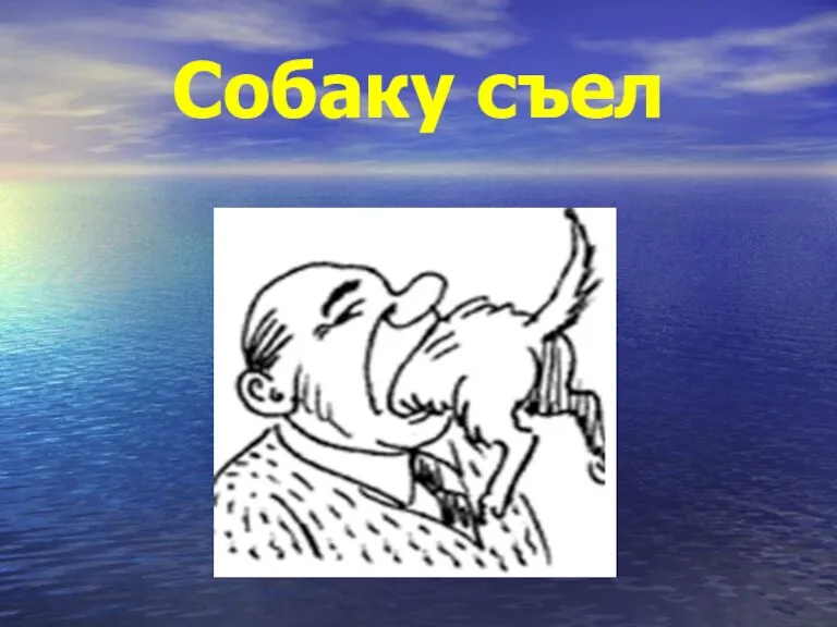 Собаку съел