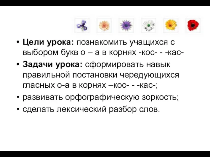 Цели урока: познакомить учащихся с выбором букв о – а в корнях