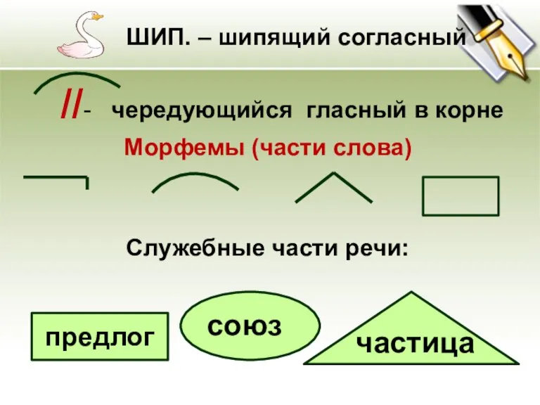 //- чередующийся гласный в корне Морфемы (части слова) Служебные части речи: частица