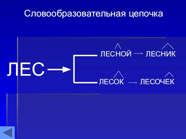 ЛЕС Словообразовательная цепочка ЛЕСНОЙ ЛЕСНИК ЛЕСОК ЛЕСОЧЕК