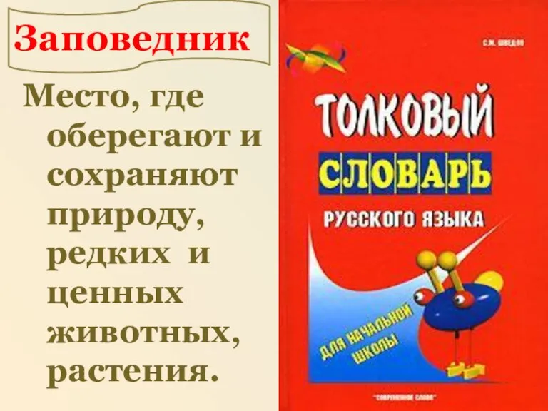 Место, где оберегают и сохраняют природу, редких и ценных животных, растения. Заповедник