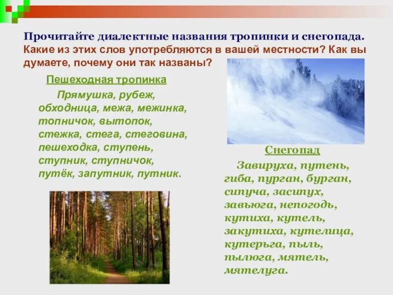 Прочитайте диалектные названия тропинки и снегопада. Какие из этих слов употребляются в