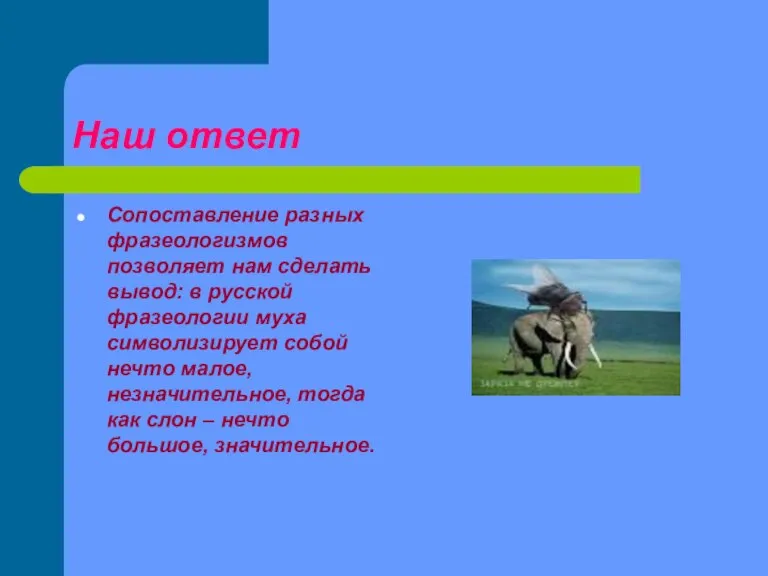 Наш ответ Сопоставление разных фразеологизмов позволяет нам сделать вывод: в русской фразеологии