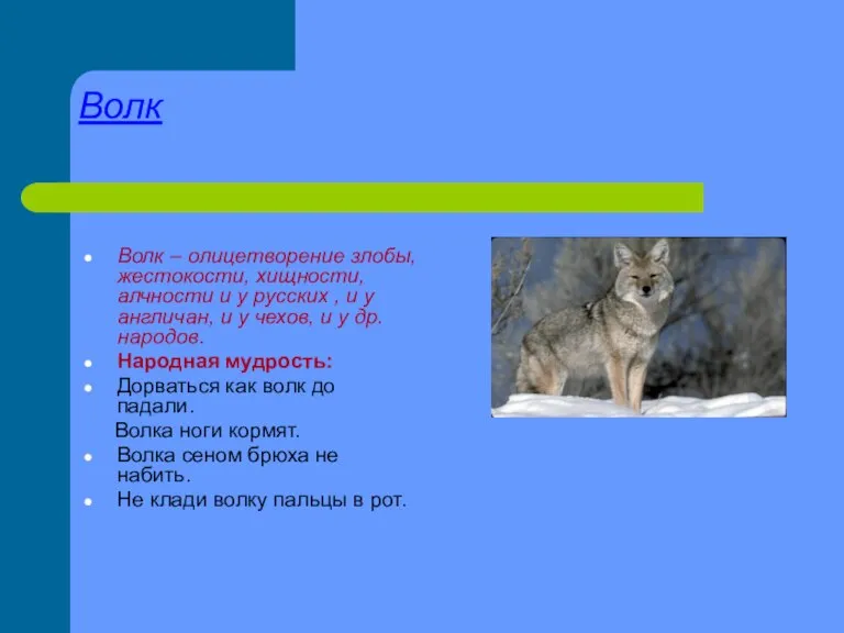 Волк Волк – олицетворение злобы, жестокости, хищности, алчности и у русских ,