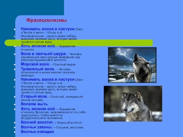 Фразеологизмы Нанимать волка в пастухи (Эзоп «Пастух и волк» – VIв.до н.э)