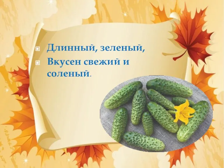 Длинный, зеленый, Вкусен свежий и соленый.