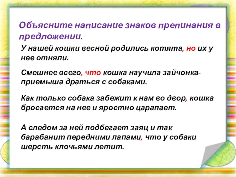 Объясните написание знаков препинания в предложении. У нашей кошки весной родились котята,