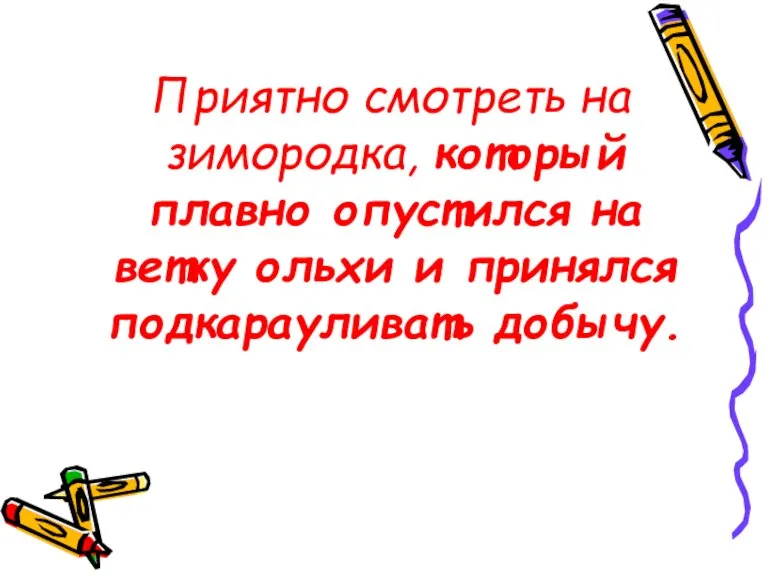 Приятно смотреть на зимородка, который плавно опустился на ветку ольхи и принялся подкарауливать добычу.