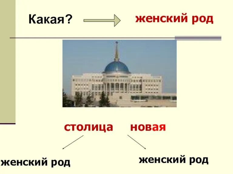 Какая? женский род столица женский род женский род новая