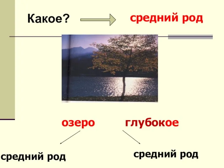 Какое? средний род озеро средний род средний род глубокое