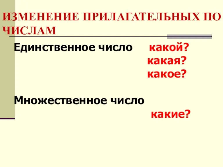 ИЗМЕНЕНИЕ ПРИЛАГАТЕЛЬНЫХ ПО ЧИСЛАМ Единственное число какой? какая? какое? Множественное число какие?