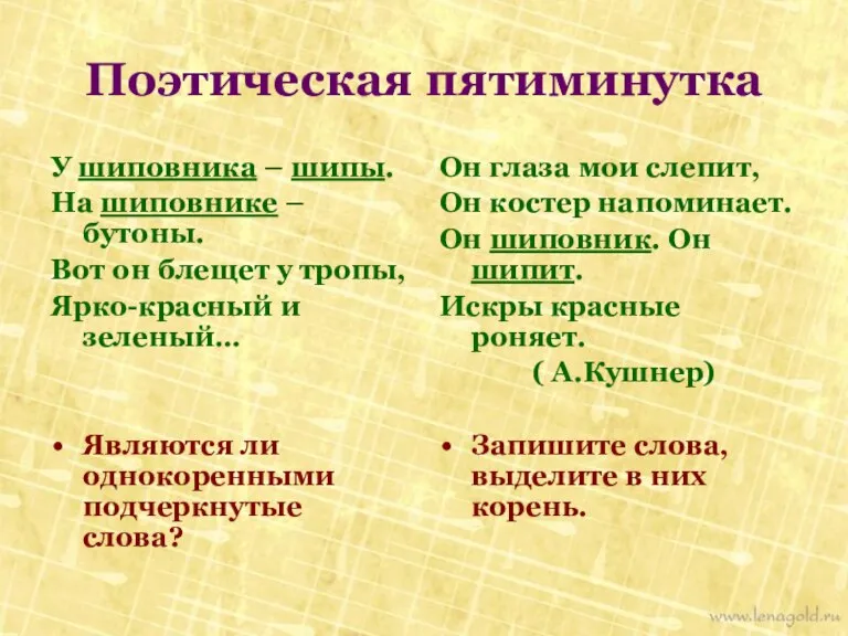 Поэтическая пятиминутка У шиповника – шипы. На шиповнике – бутоны. Вот он