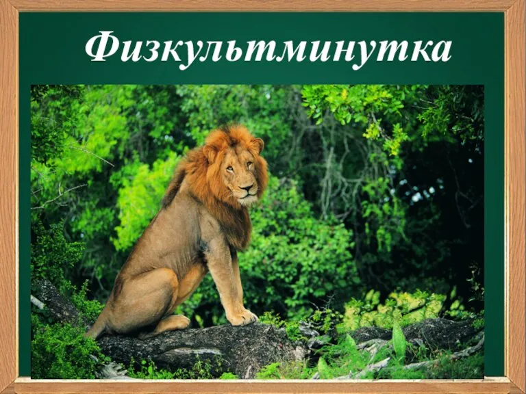 Физкультминутка