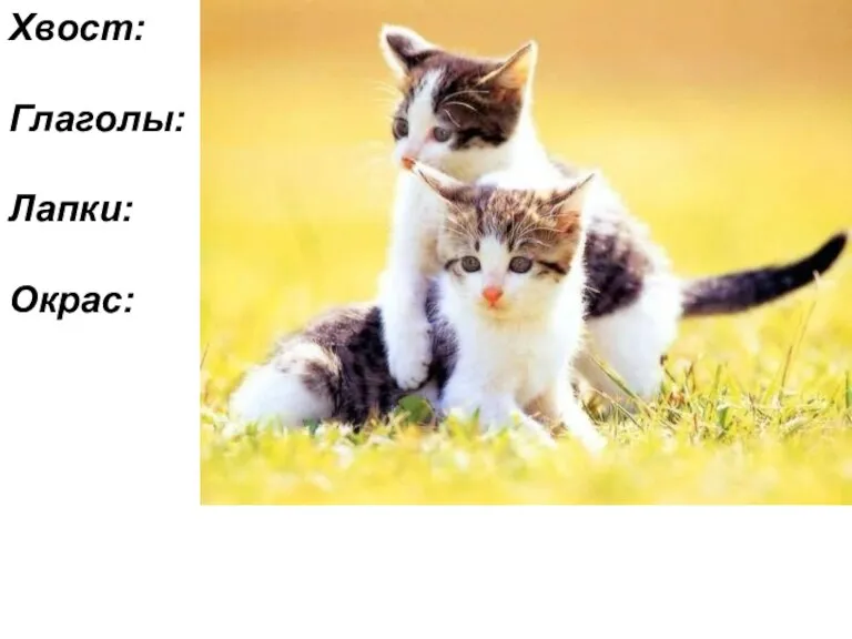 Хвост: черный с белым кончиком, пушистый, длинный… Глаголы: извивается, дрожит, стоит покачиваясь…