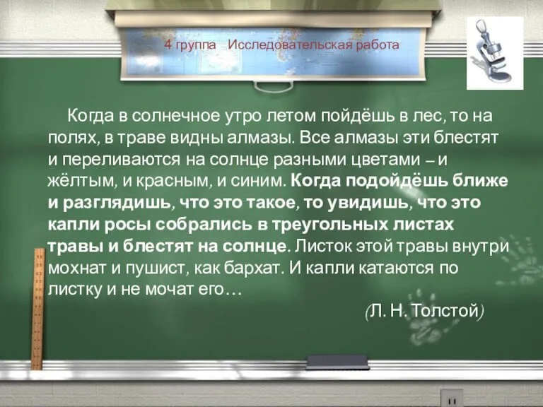 4 группа Исследовательская работа Когда в солнечное утро летом пойдёшь в лес,