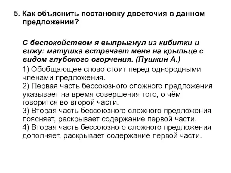 5. Как объяснить постановку двоеточия в данном предложении? С беспокойством я выпрыгнул