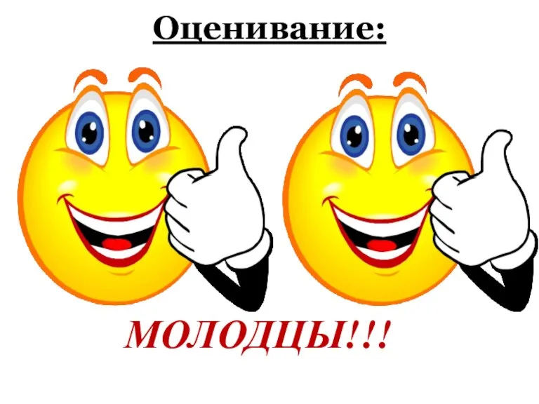 Оценивание: МОЛОДЦЫ!!!