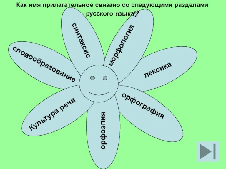 лексика морфология орфография орфоэпия Культура речи словообразование синтаксис Как имя прилагательное связано