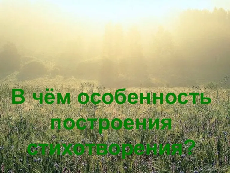 В чём особенность построения стихотворения?