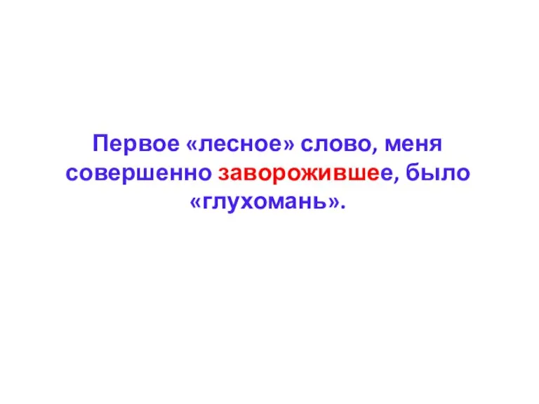 Первое «лесное» слово, меня совершенно заворожившее, было «глухомань».