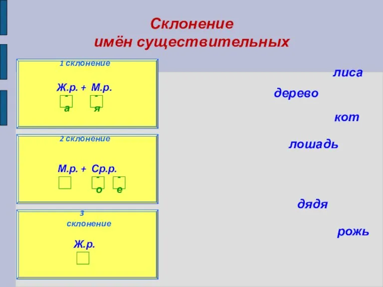 Склонение имён существительных 1 склонение 3 склонение 2 склонение лиса дерево кот лошадь дядя рожь