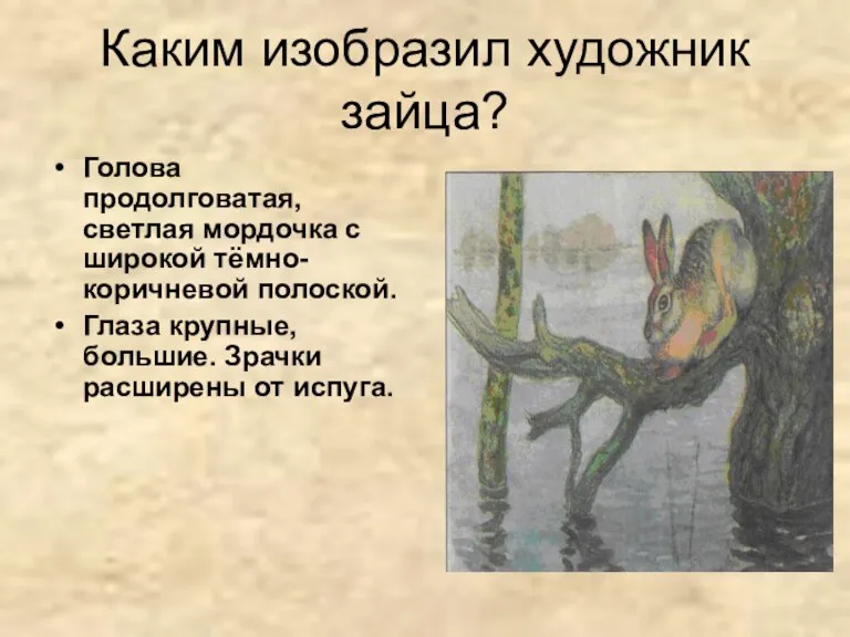 Каким изобразил художник зайца? Голова продолговатая, светлая мордочка с широкой тёмно-коричневой полоской.